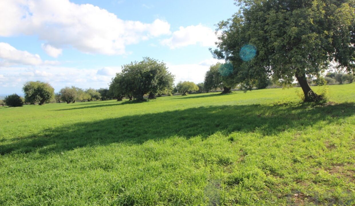 Foto immobile Rif. 3420 - Casale a Modica - immagine 18