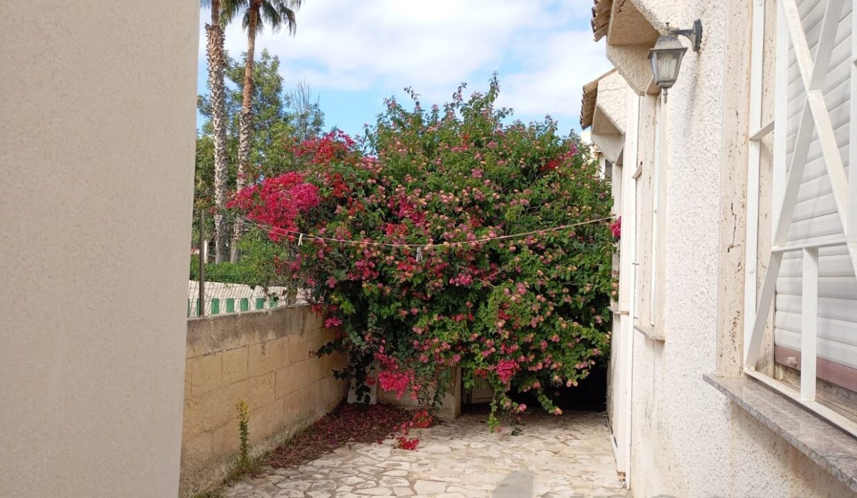 Foto immobile Rif. 3489 - Villa a Noto - immagine 6