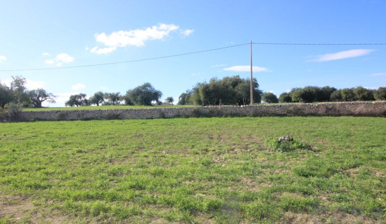Foto immobile Rif. 3420 - Casale a Modica - immagine 17