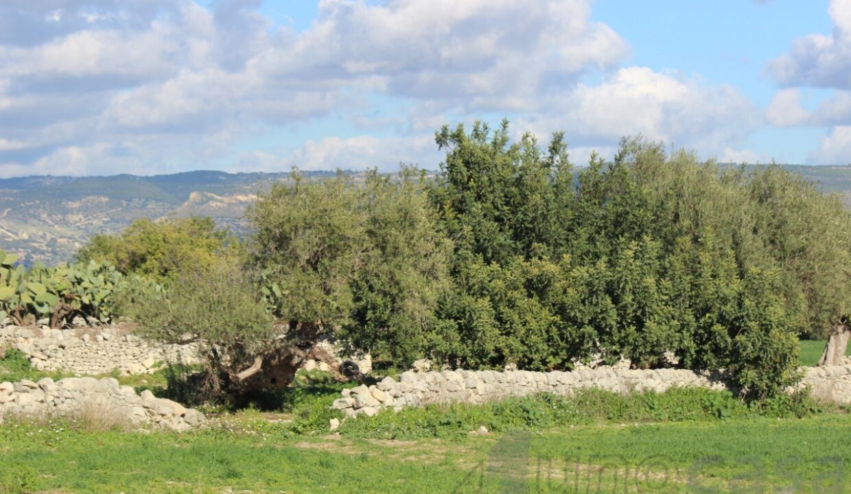 Foto immobile Rif. 3420 - Casale a Modica - immagine 34