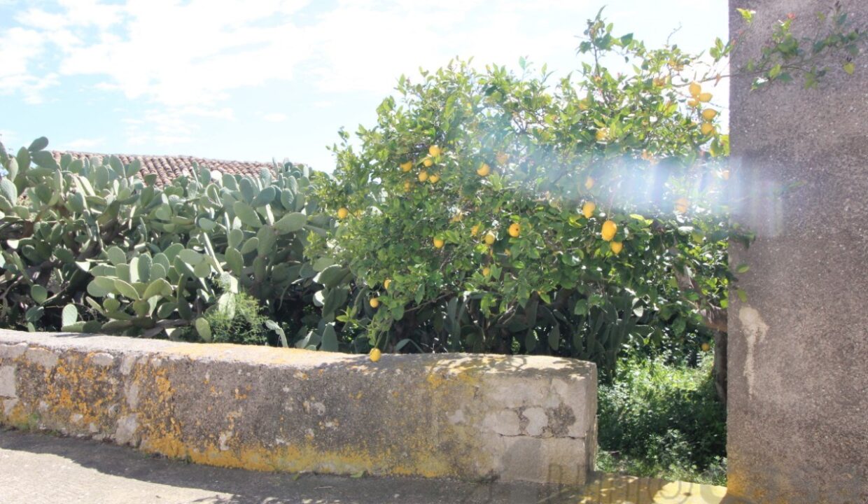 Foto immobile Rif. 3449 - Casale a Modica - immagine 10