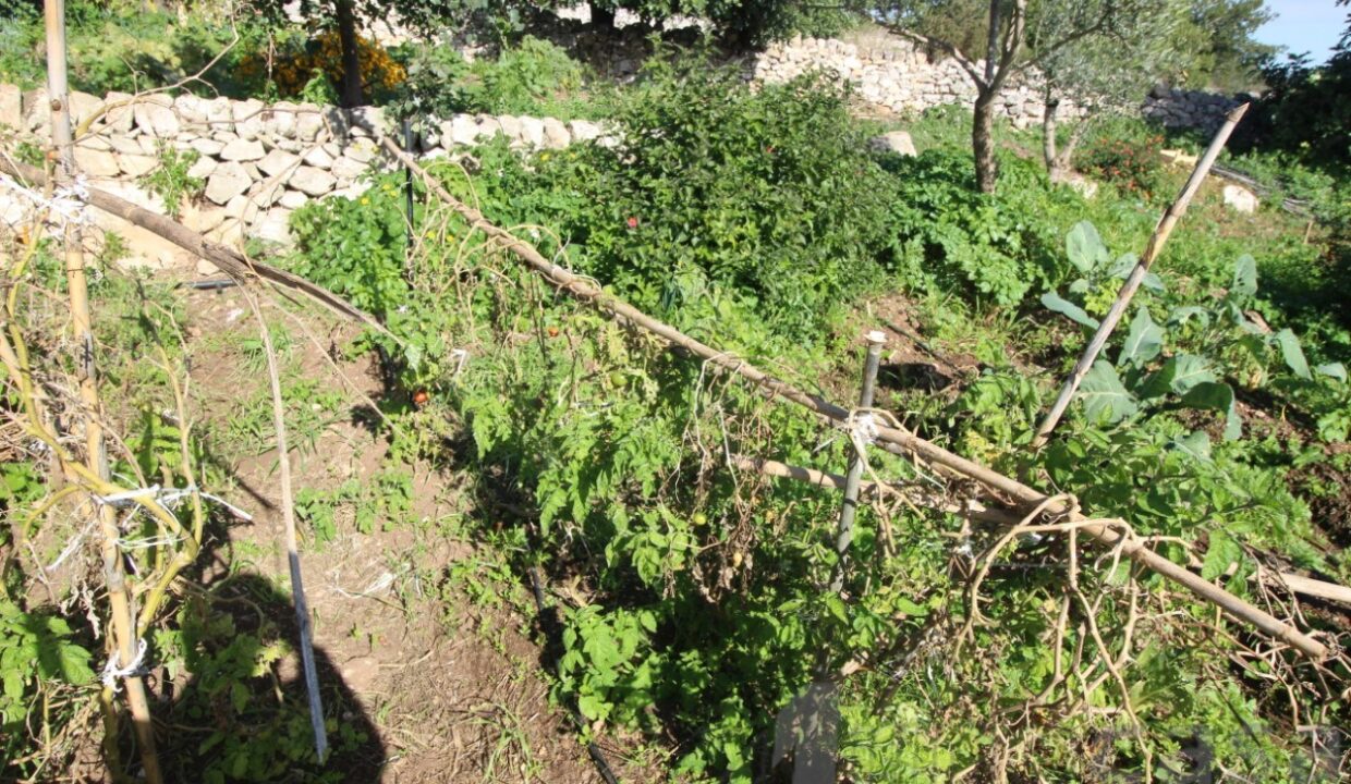 Foto immobile Rif. 3419 - Casale a Modica - immagine 42