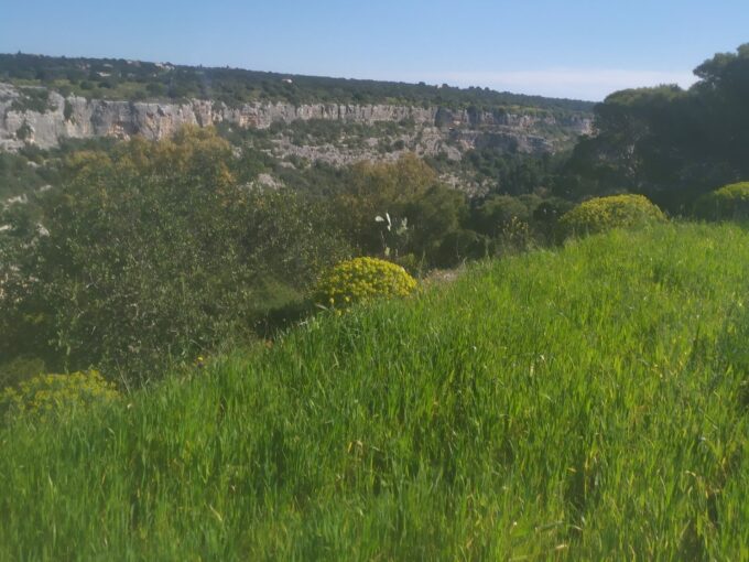 Foto immobile Rif. 3249 - Casale a Scicli