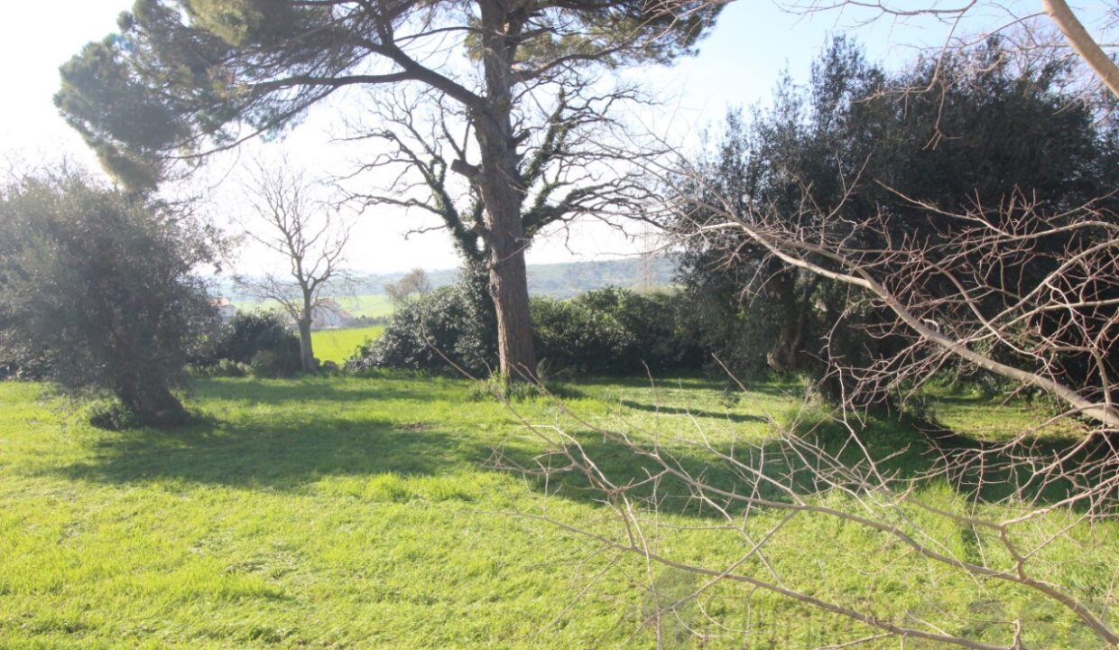 Foto immobile Rif. 3324 - Casale a Modica - immagine 6