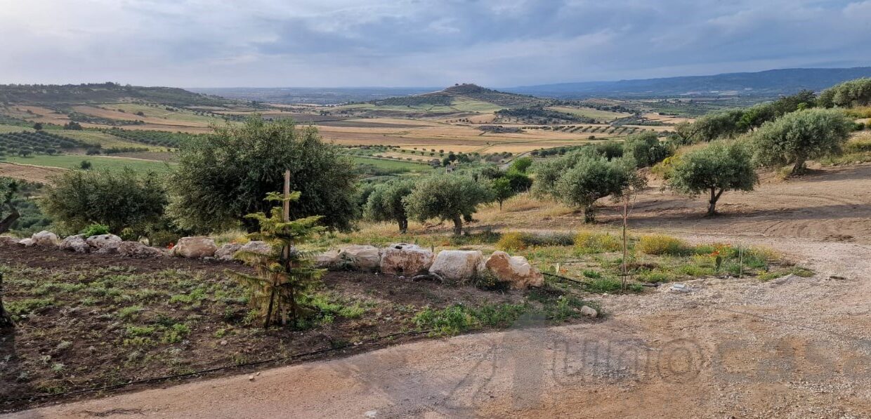 Foto immobile Rif. 3351 - Villa a Noto - immagine 30