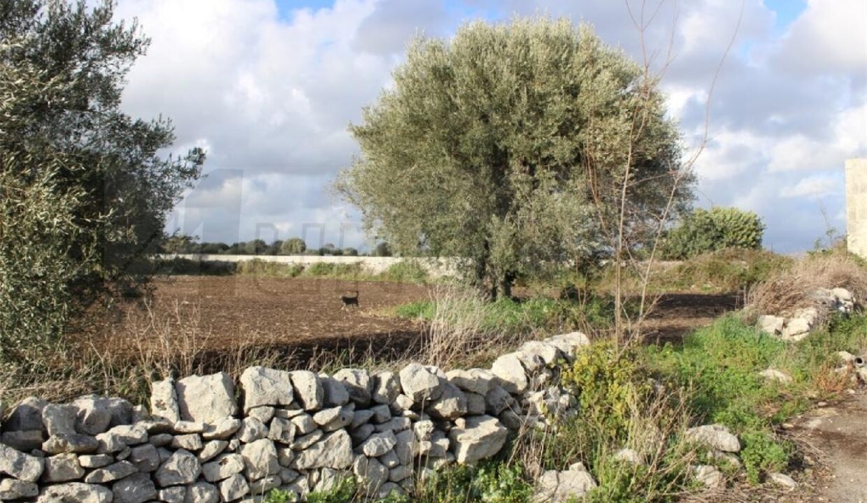 Foto immobile Rif. 3023 - Casale a Modica - immagine 16