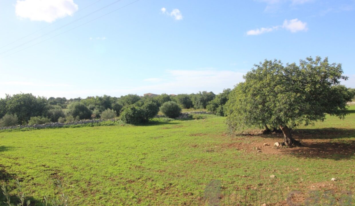 Foto immobile Rif. 3419 - Casale a Modica - immagine 43