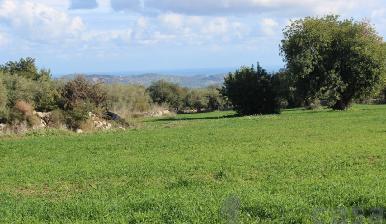 Foto immobile Rif. 3420 - Casale a Modica - immagine 33