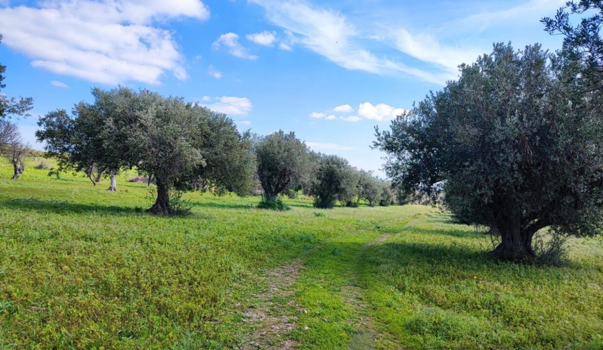 Foto immobile Rif. 3340 - Casale a Noto - immagine 11