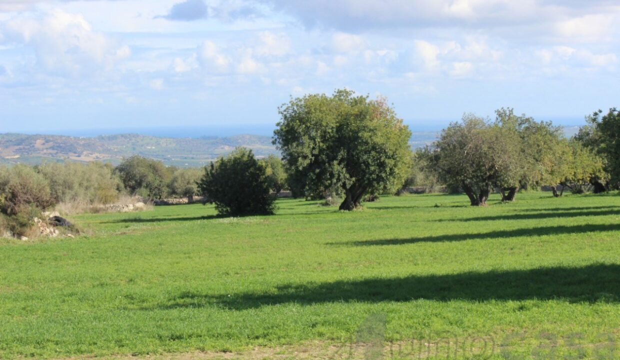 Foto immobile Rif. 3420 - Casale a Modica - immagine 36