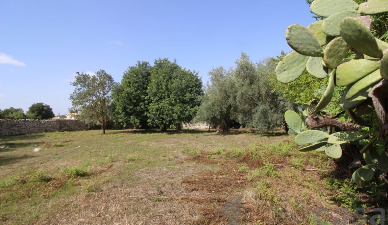 Foto immobile Rif. 3324 - Casale a Modica - immagine 21