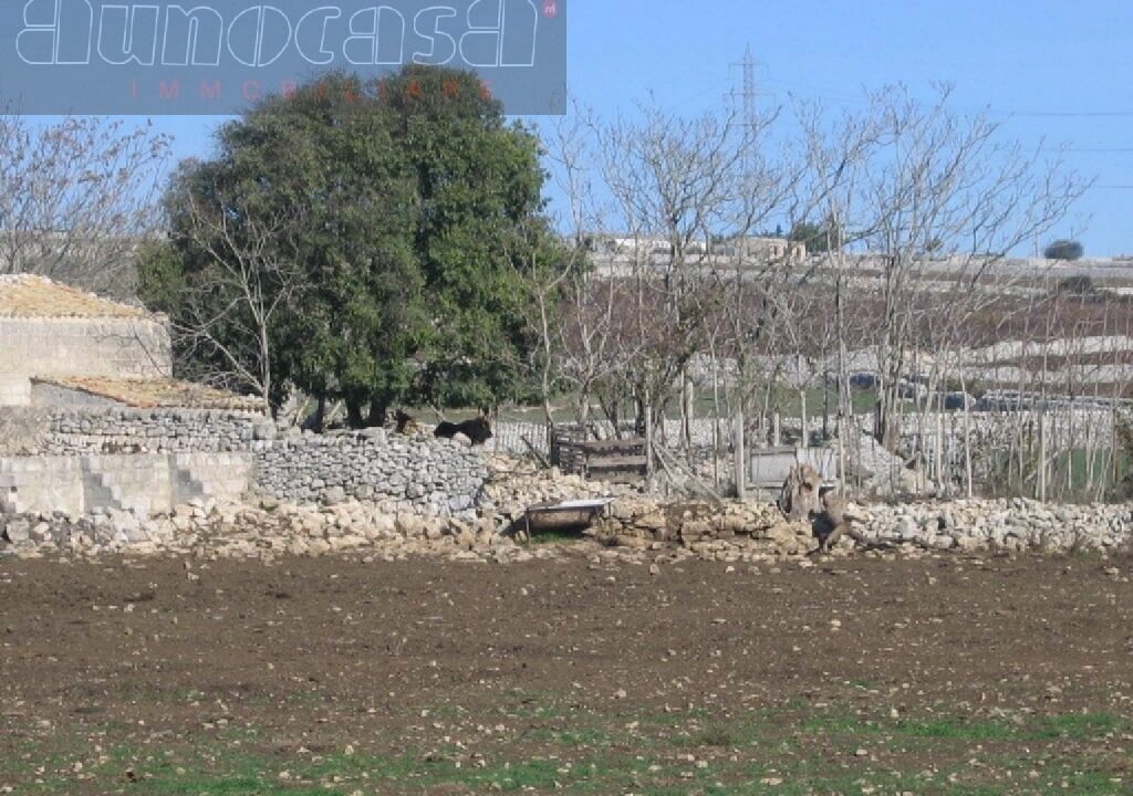 Foto immobile Rif. 3095 - Casale a Ragusa - immagine 16
