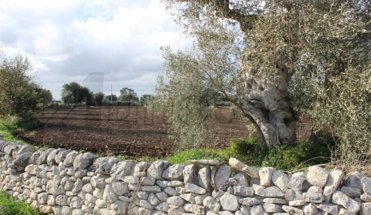 Foto immobile Rif. 3023 - Casale a Modica - immagine 15