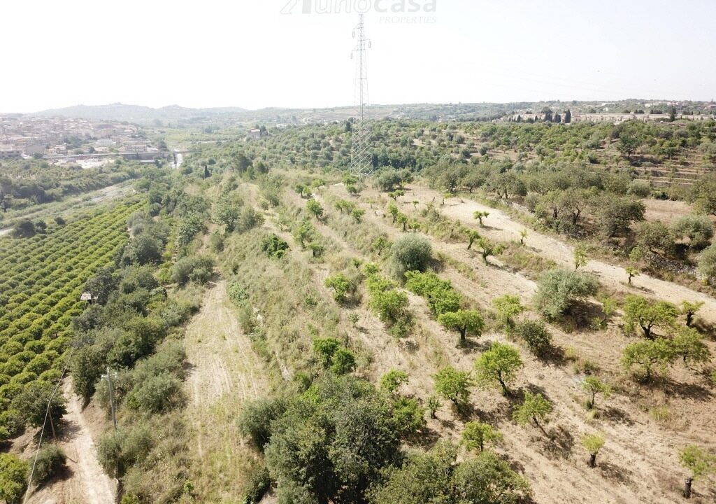 Foto immobile Rif. 3183 - Casale a Noto - immagine 6