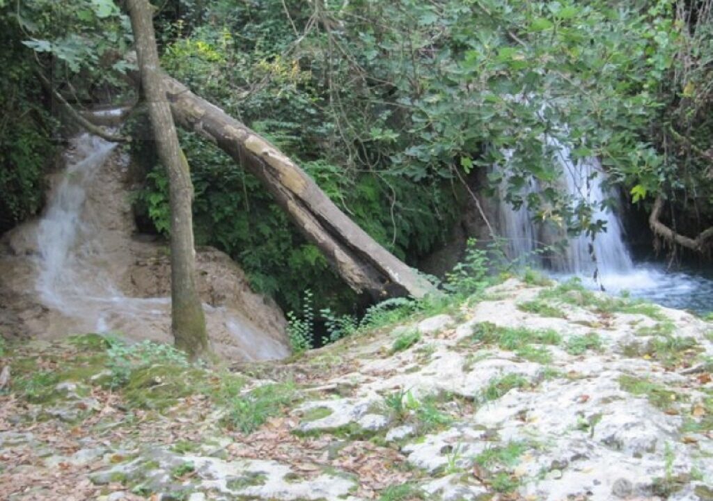 Foto immobile Rif. 3182 - Casale a Noto - immagine 13