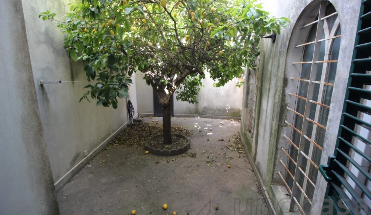 Foto immobile Rif. 3392 - Appartamento a Ragusa - immagine 15