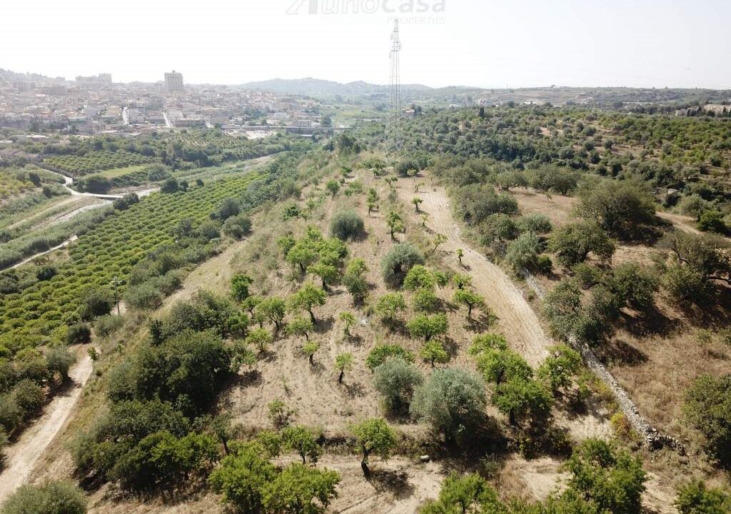 Foto immobile Rif. 3183 - Casale a Noto - immagine 8