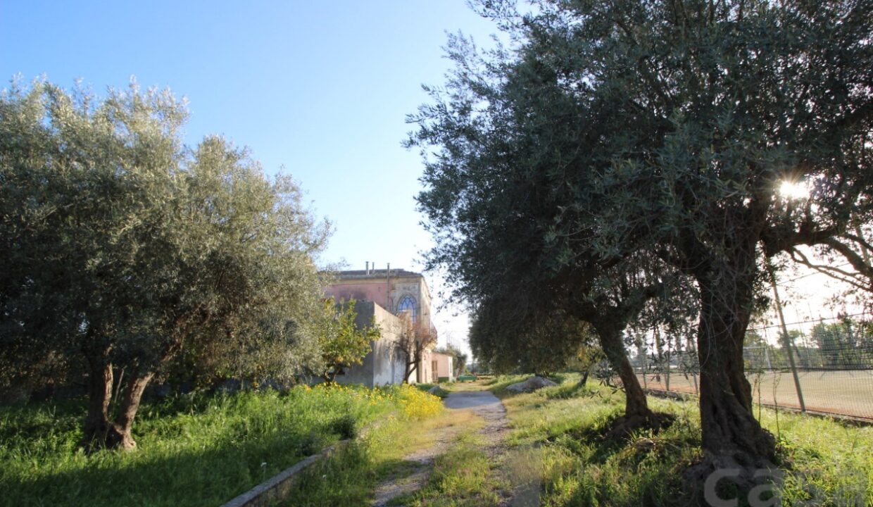 Foto immobile Rif. 3260 - Villa a Scicli - immagine 12