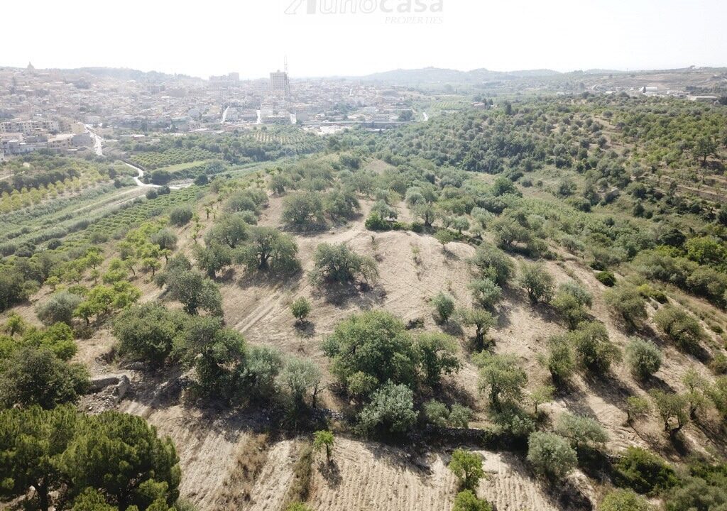 Foto immobile Rif. 3183 - Casale a Noto - immagine 10